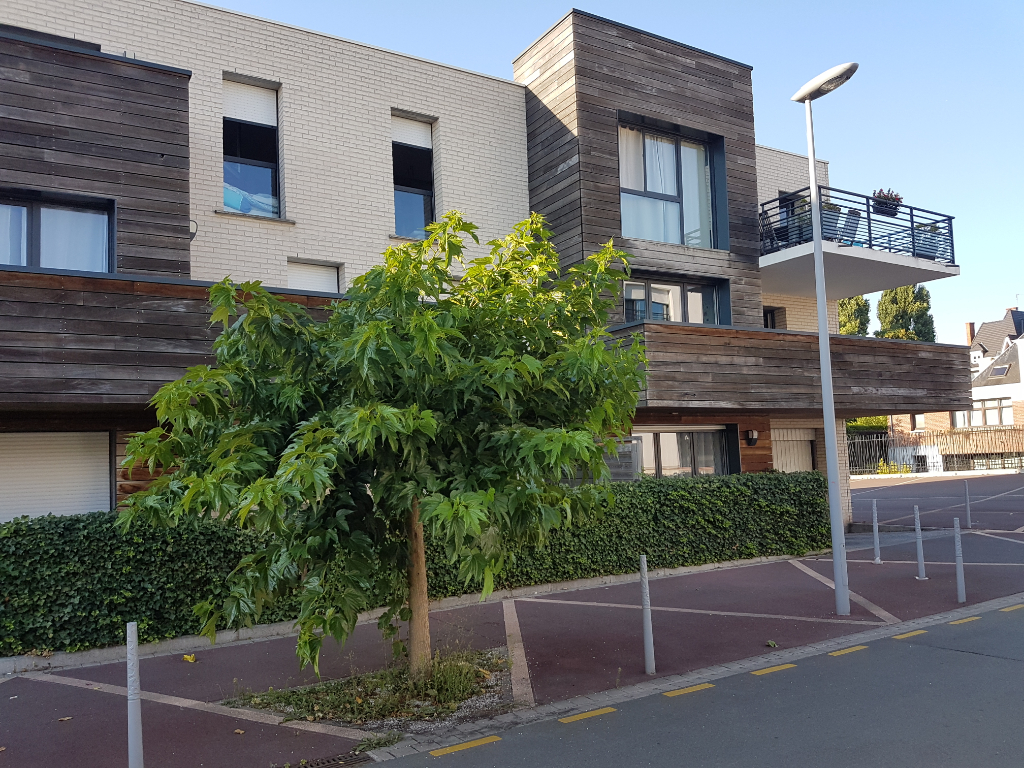 Appartement de standing eco quartier wattignies Photo 1 - Brique Rouge Immobilier