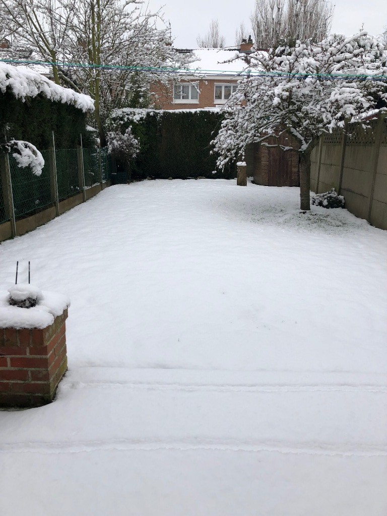 Lambersart maison batir Photo 2 - Brique Rouge Immobilier Lambersart maison batir Photo 2 - Brique Rouge Immobilier