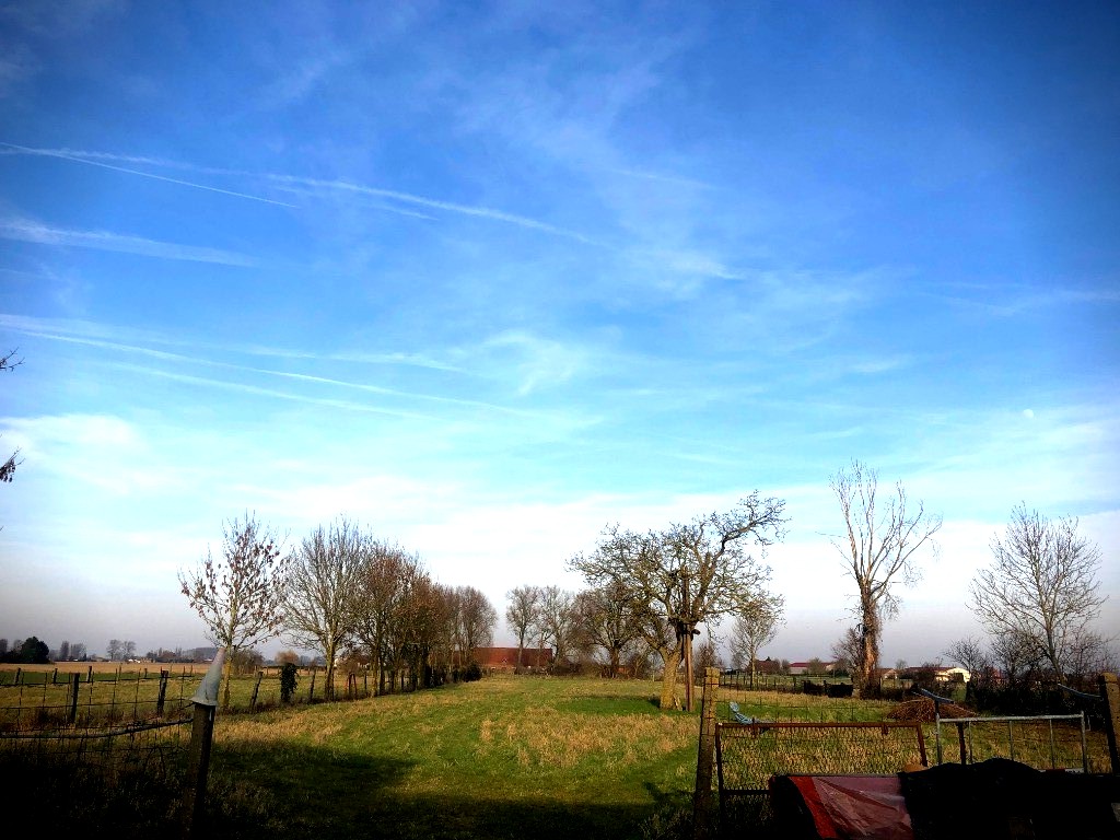 Superbe ferme 7 chambres campagne de premesques Photo 2 - Brique Rouge Immobilier