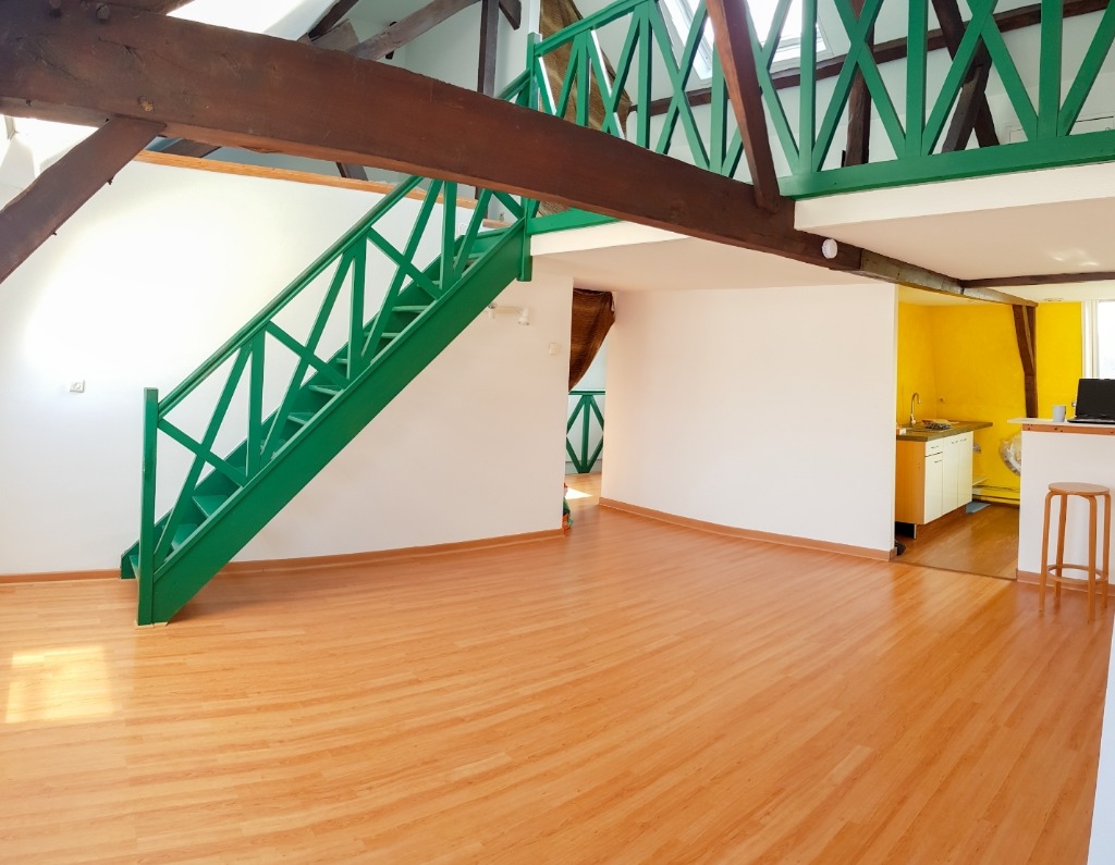 Loos 59120 appartement atypique type t3 de 80m2 Photo 1 - Brique Rouge Immobilier