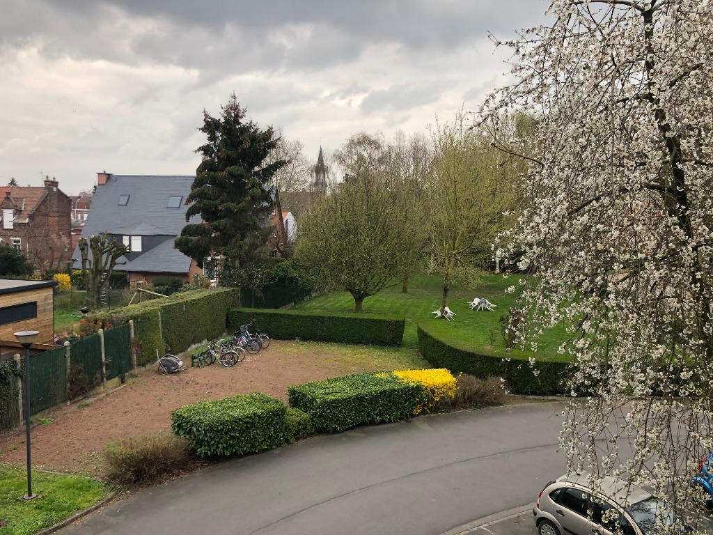 Loos 59120 t3 de 78m2 garage et balcon Photo 4 - Brique Rouge Immobilier Loos 59120 t3 de 78m2 garage et balcon Photo 4 - Brique Rouge Immobilier