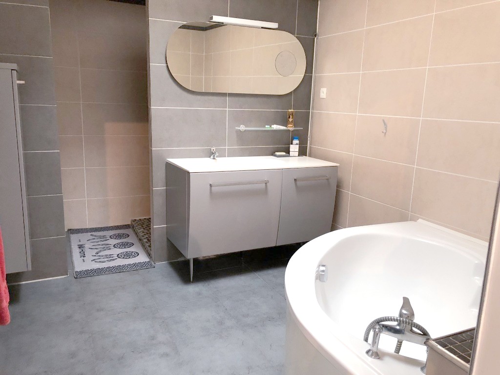 Haubourdin 59320 superbe loft Photo 5 - Brique Rouge Immobilier