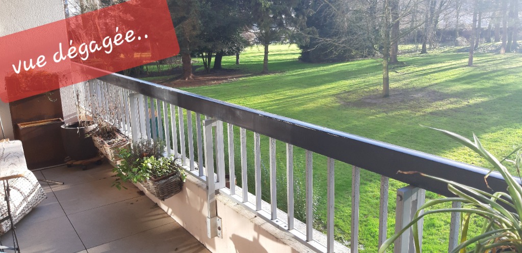 Loos prox chr beau t3 avec terrasse vue degagee pking prive Photo 2 - Brique Rouge Immobilier