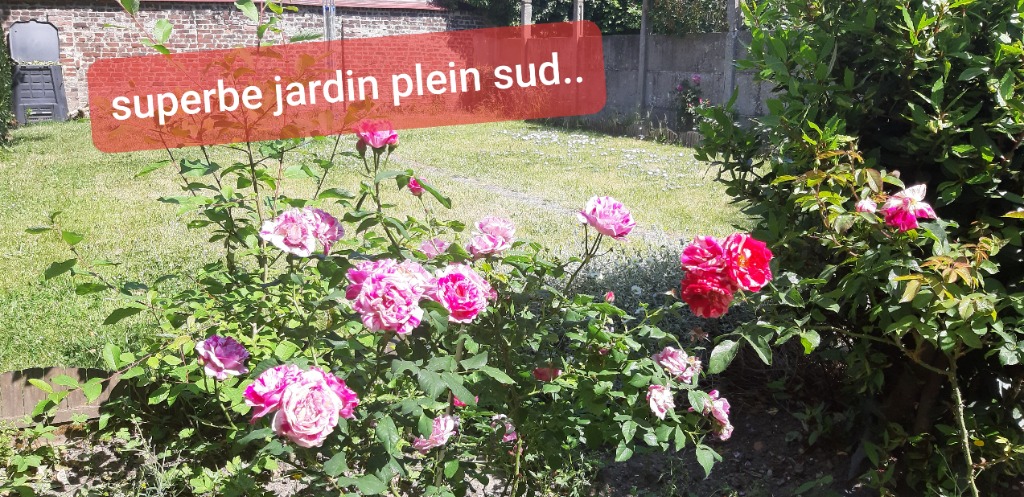 Loos proche chr large et lumineuse t6 garage jardin Photo 1 - Brique Rouge Immobilier Loos proche chr large et lumineuse t6 garage jardin Photo 1 - Brique Rouge Immobilier