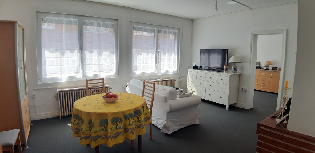 Loos proche chr large et lumineuse t6 garage jardin Photo 2 - Brique Rouge Immobilier Loos proche chr large et lumineuse t6 garage jardin Photo 2 - Brique Rouge Immobilier