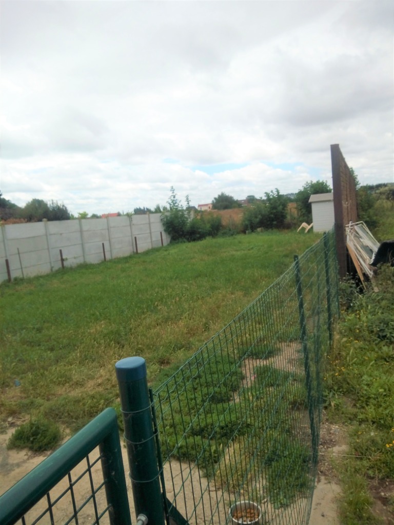 Beaux volumes avec jardin Photo 2 - Brique Rouge Immobilier