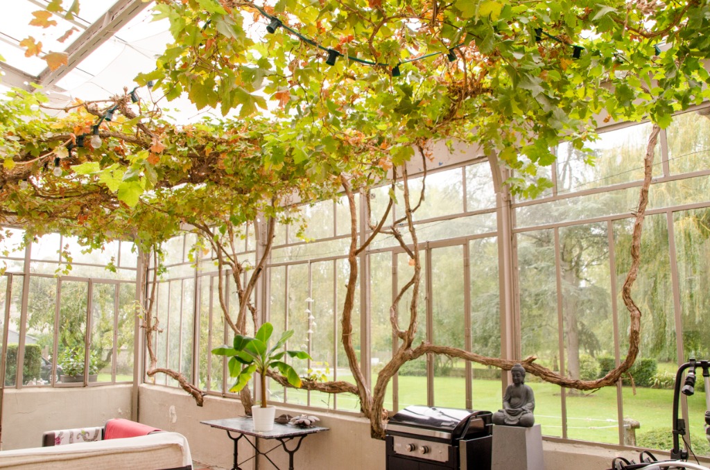 Estaires maison bourgeoise Photo 2 - Brique Rouge Immobilier