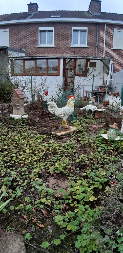 Loos prox chr maison 4 chambres jardin garage combles amenag Photo 4 - Brique Rouge Immobilier Loos prox chr maison 4 chambres jardin garage combles amenag Photo 4 - Brique Rouge Immobilier