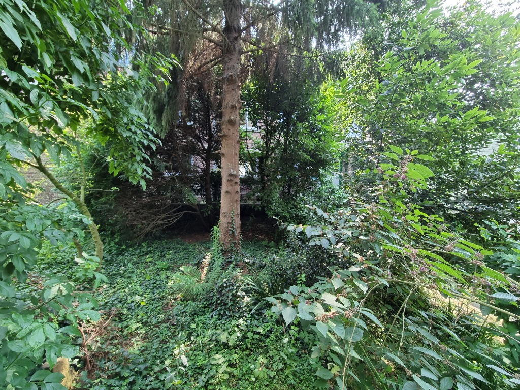 Villeneuve d ascq  appartement t4 avec jardin   atelier Photo 12 - Brique Rouge Immobilier