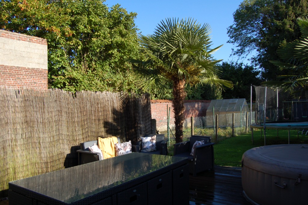 Semi bourgeoise ascq village Photo 6 - Brique Rouge Immobilier Semi bourgeoise ascq village Photo 6 - Brique Rouge Immobilier