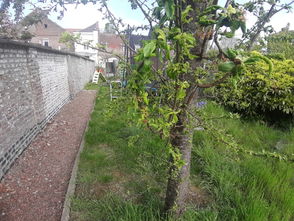 Exclusivite loos maison t4 grand jardin garage Photo 12 - Brique Rouge Immobilier