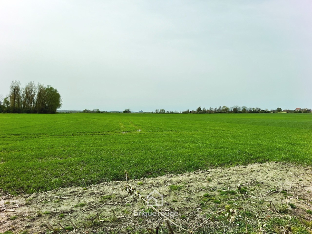 Moncheaux terrain en second rang vue campagne 1283m  Photo 6 - Brique Rouge Immobilier