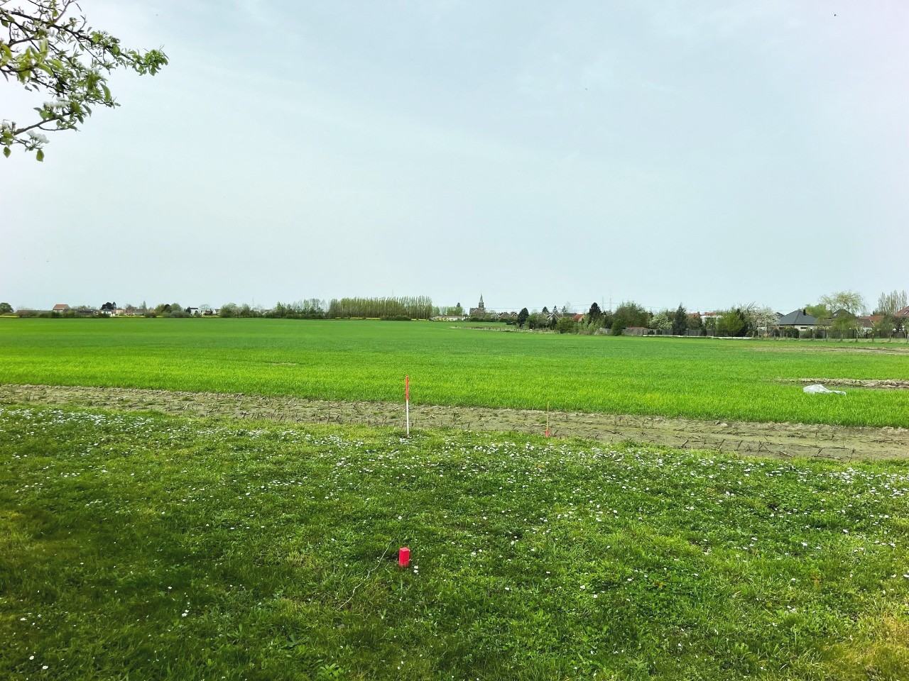 Moncheaux terrain en second rang vue campagne 1283m  Photo 6 - Brique Rouge Immobilier