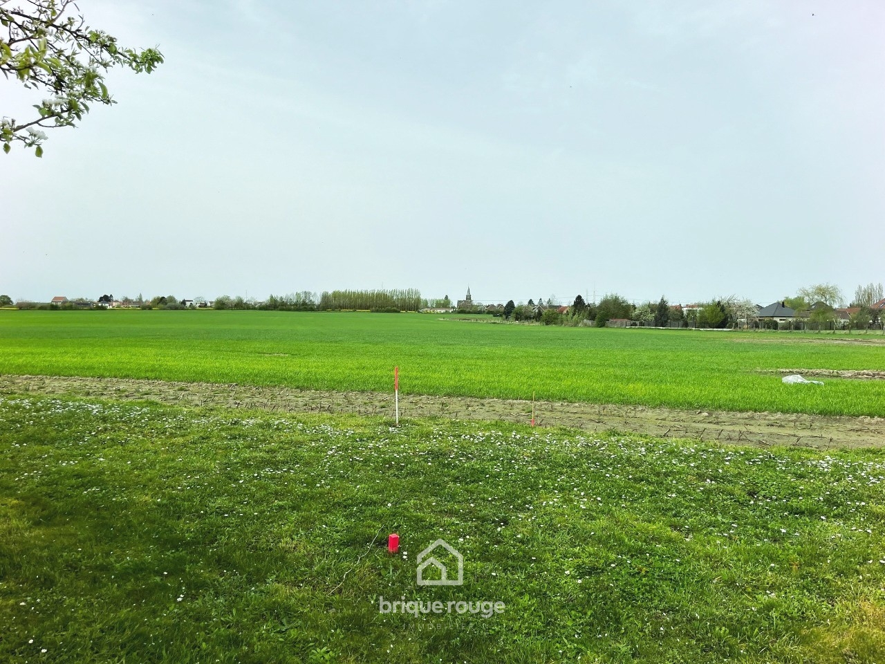 Moncheaux terrain en second rang vue campagne 1283m  Photo 7 - Brique Rouge Immobilier