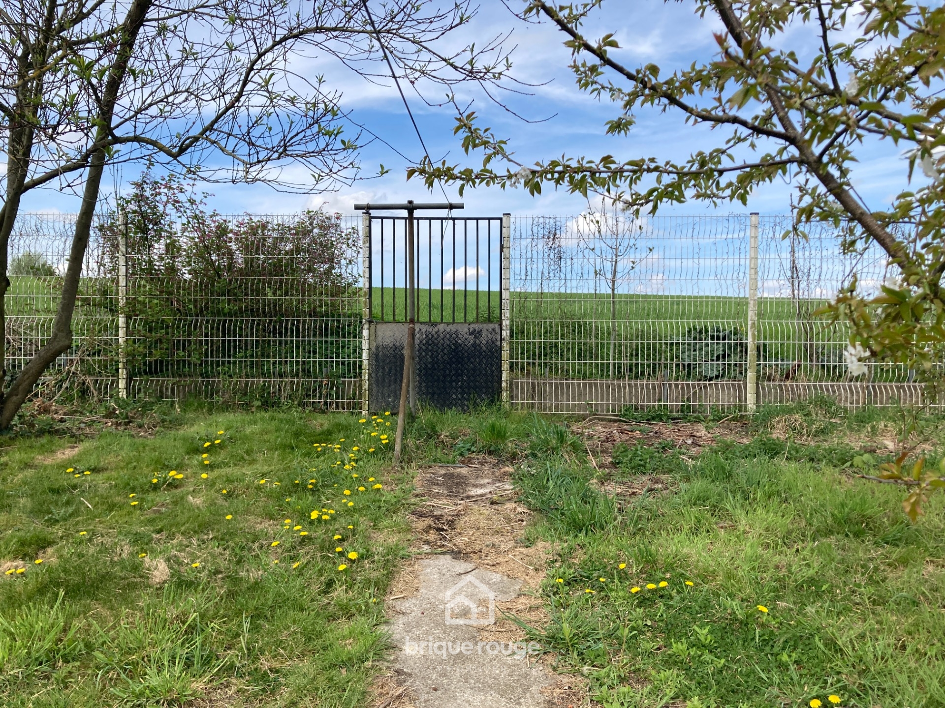 Maison  mons en pevele 4 chambres studio panneau solaire Photo 5 - Brique Rouge Immobilier
