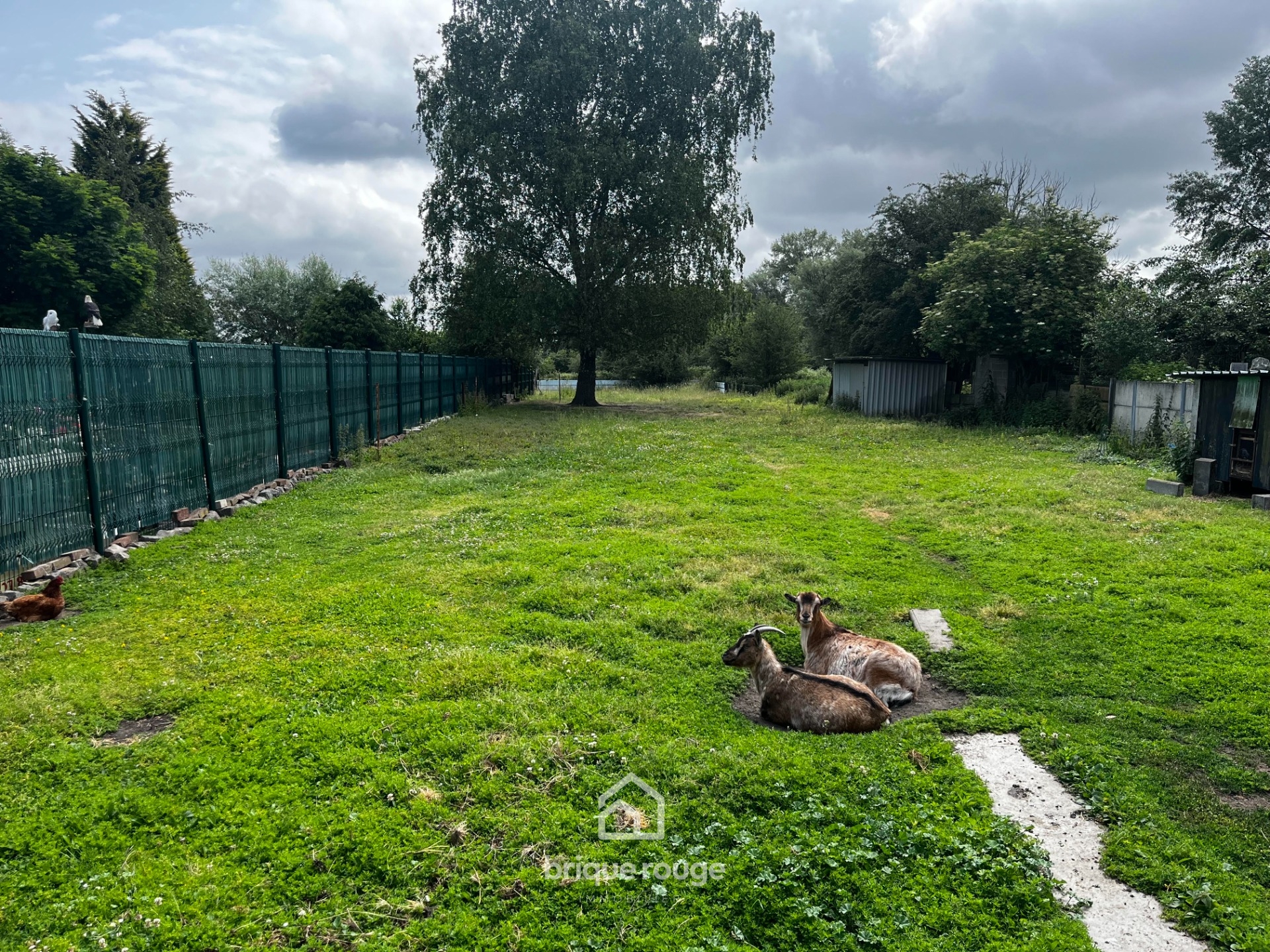 Maison 3 chambres 2 garages grand jardin Photo 1 - Brique Rouge Immobilier Maison 3 chambres 2 garages grand jardin Photo 1 - Brique Rouge Immobilier