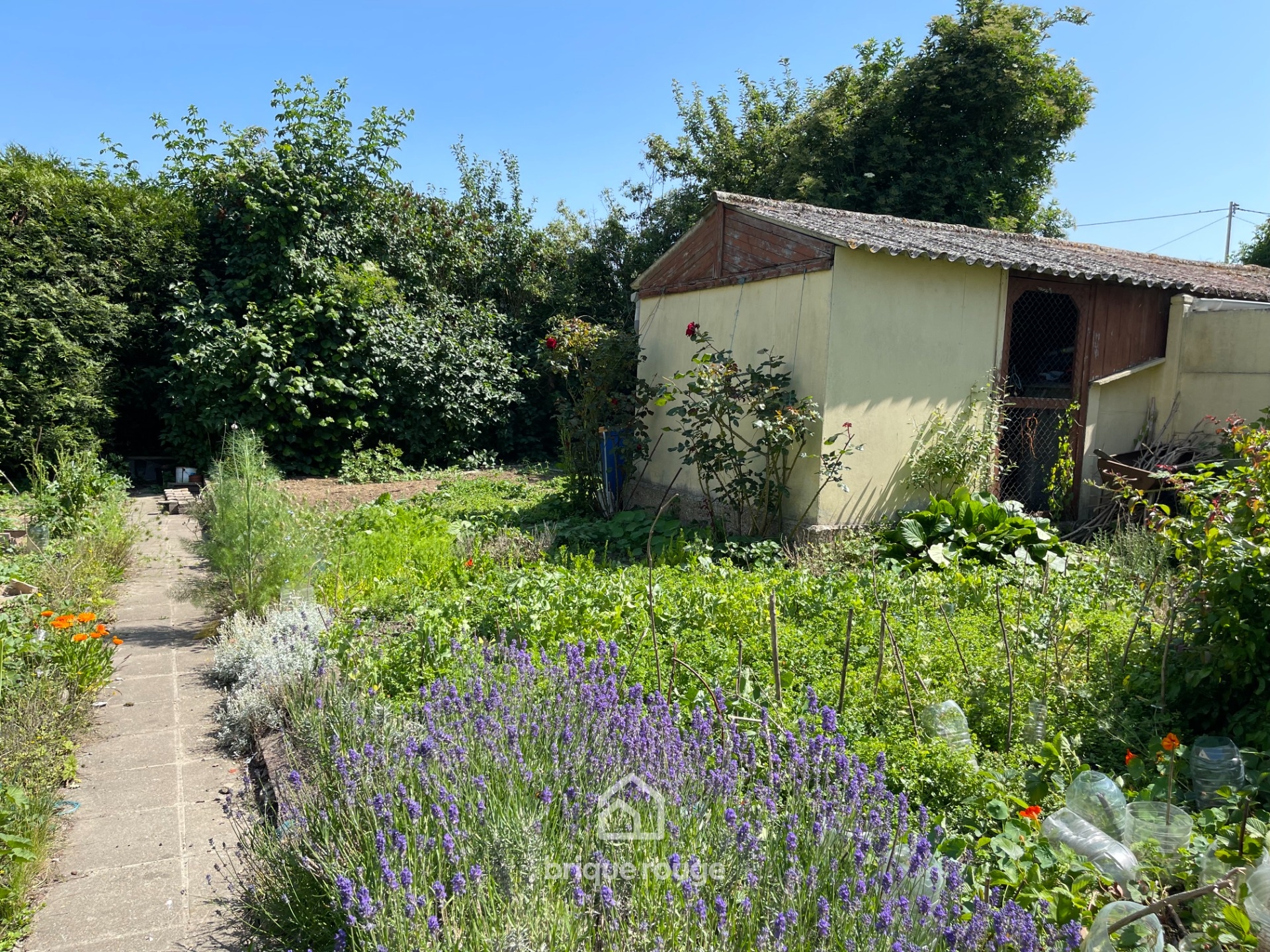 Maison  renover 2 chambres  bethune Photo 2 - Brique Rouge Immobilier