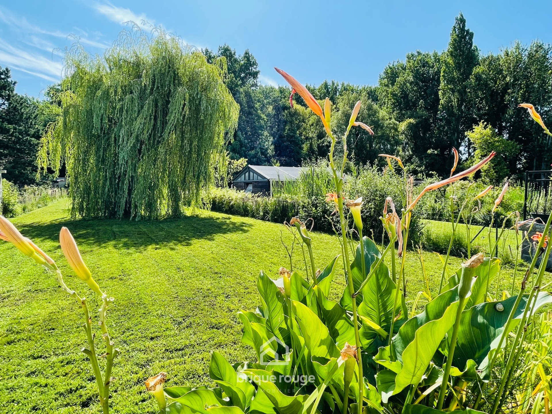Maison 3 chambres avec jardin Photo 8 - Brique Rouge Immobilier Maison 3 chambres avec jardin Photo 8 - Brique Rouge Immobilier