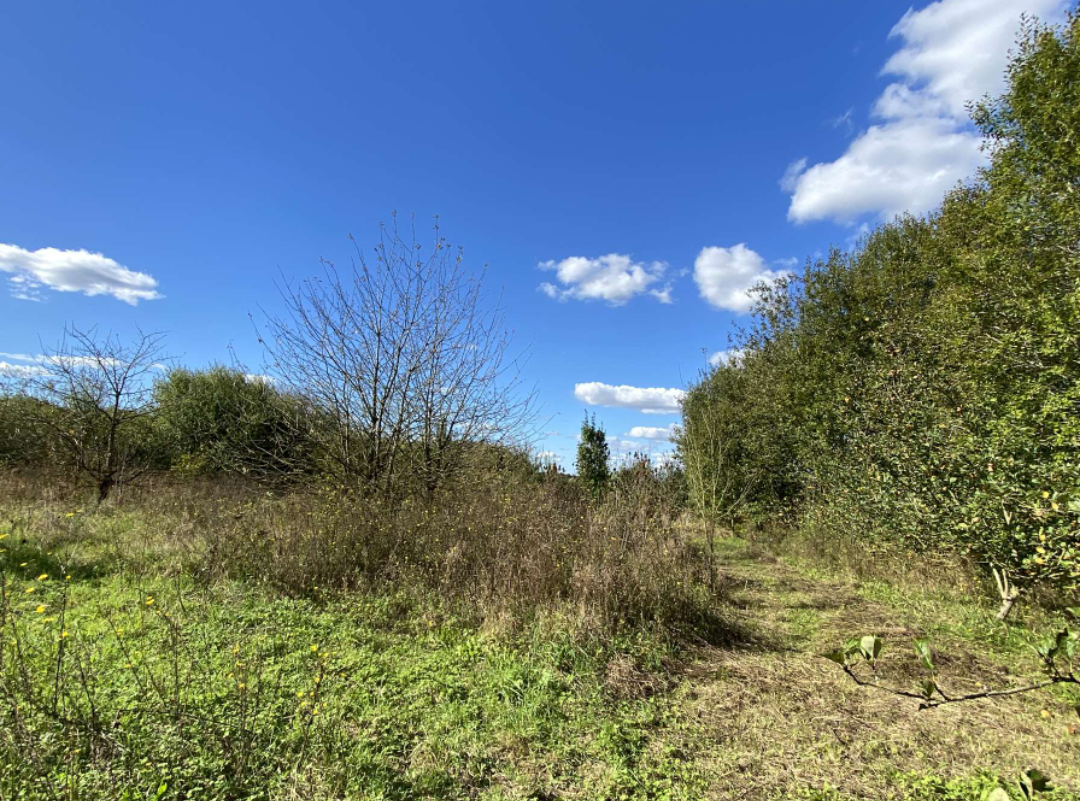 Terrain de 8411m sur la commune de merville Photo 1 - Brique Rouge Immobilier