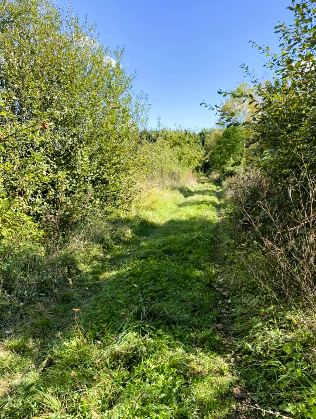 Merville terrain de 8411m Photo 1 - Brique Rouge Immobilier Merville terrain de 8411m Photo 1 - Brique Rouge Immobilier