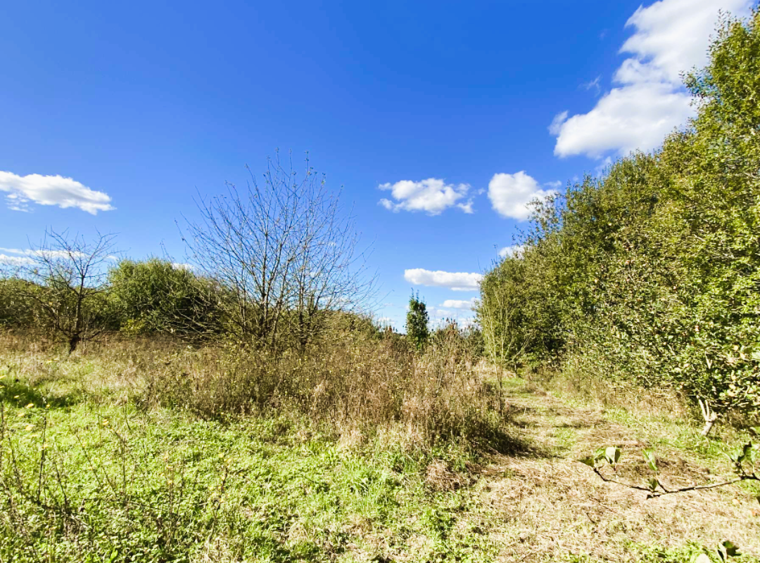Merville terrain de 8411m Photo 4 - Brique Rouge Immobilier Merville terrain de 8411m Photo 4 - Brique Rouge Immobilier