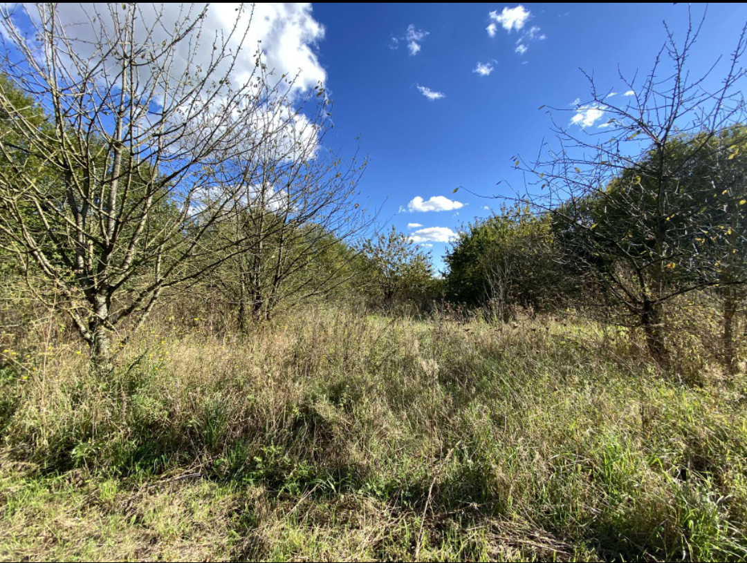 Terrain de 8411m sur la commune de merville Photo 5 - Brique Rouge Immobilier