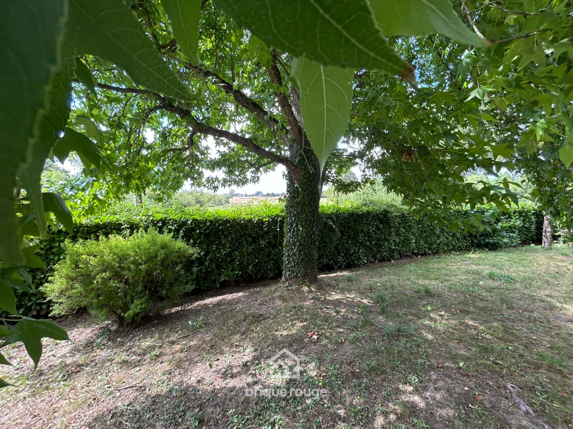 Maison individuelle en semi plain pied secteur prise Photo 4 - Brique Rouge Immobilier