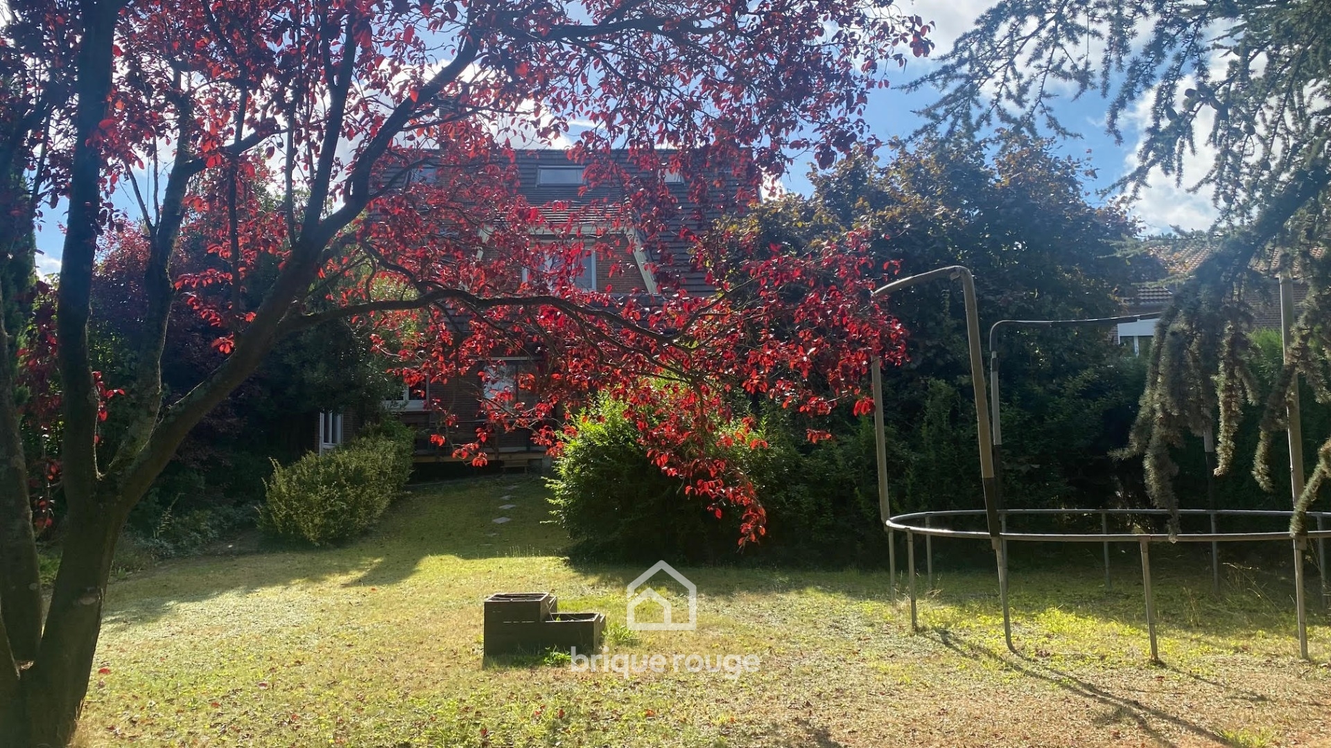 Maiso individuelle semi plain 5 chambres sous sol jardin Photo 1 - Brique Rouge Immobilier