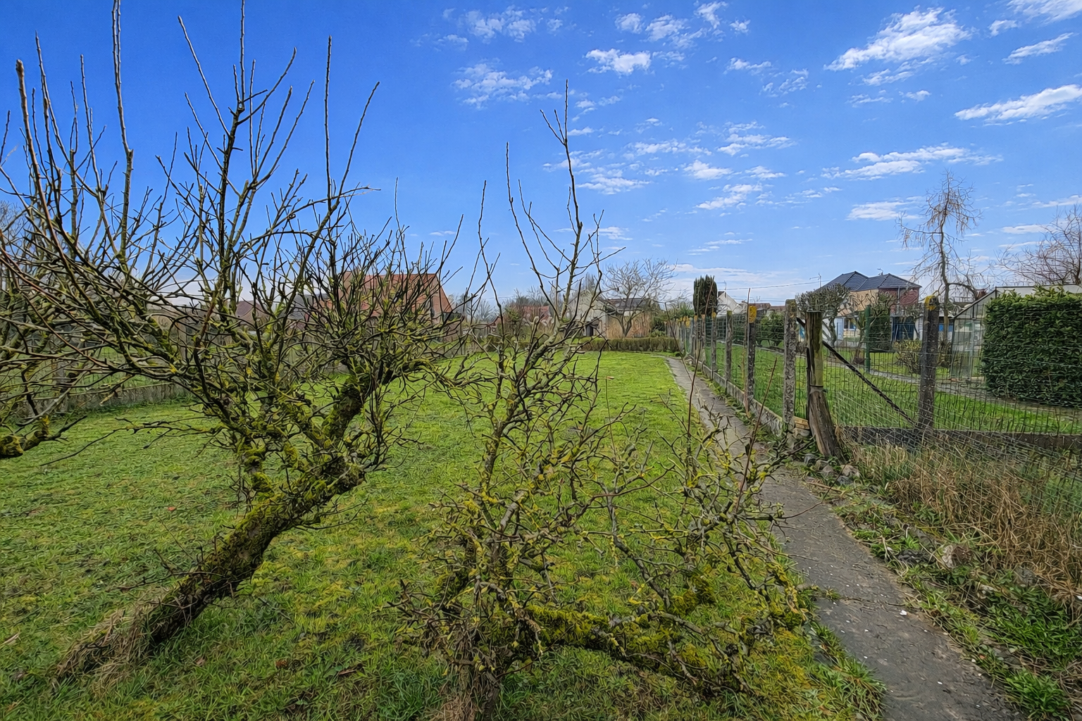 Maison 3 chambres jardin verger dependance Photo 7 - Brique Rouge Immobilier