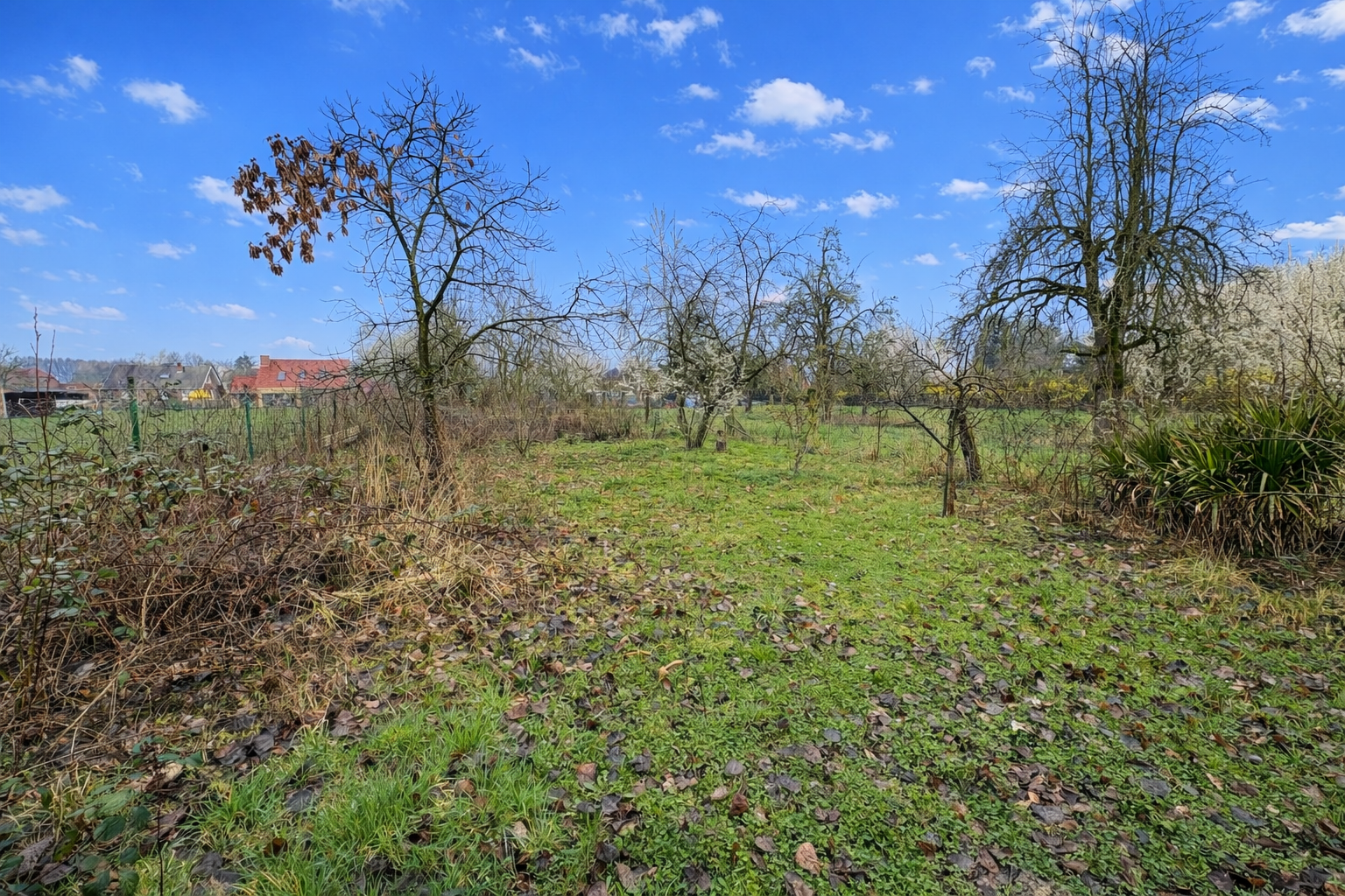 Maison 3 chambres jardin verger dependance Photo 7 - Brique Rouge Immobilier Maison 3 chambres jardin verger dependance Photo 7 - Brique Rouge Immobilier