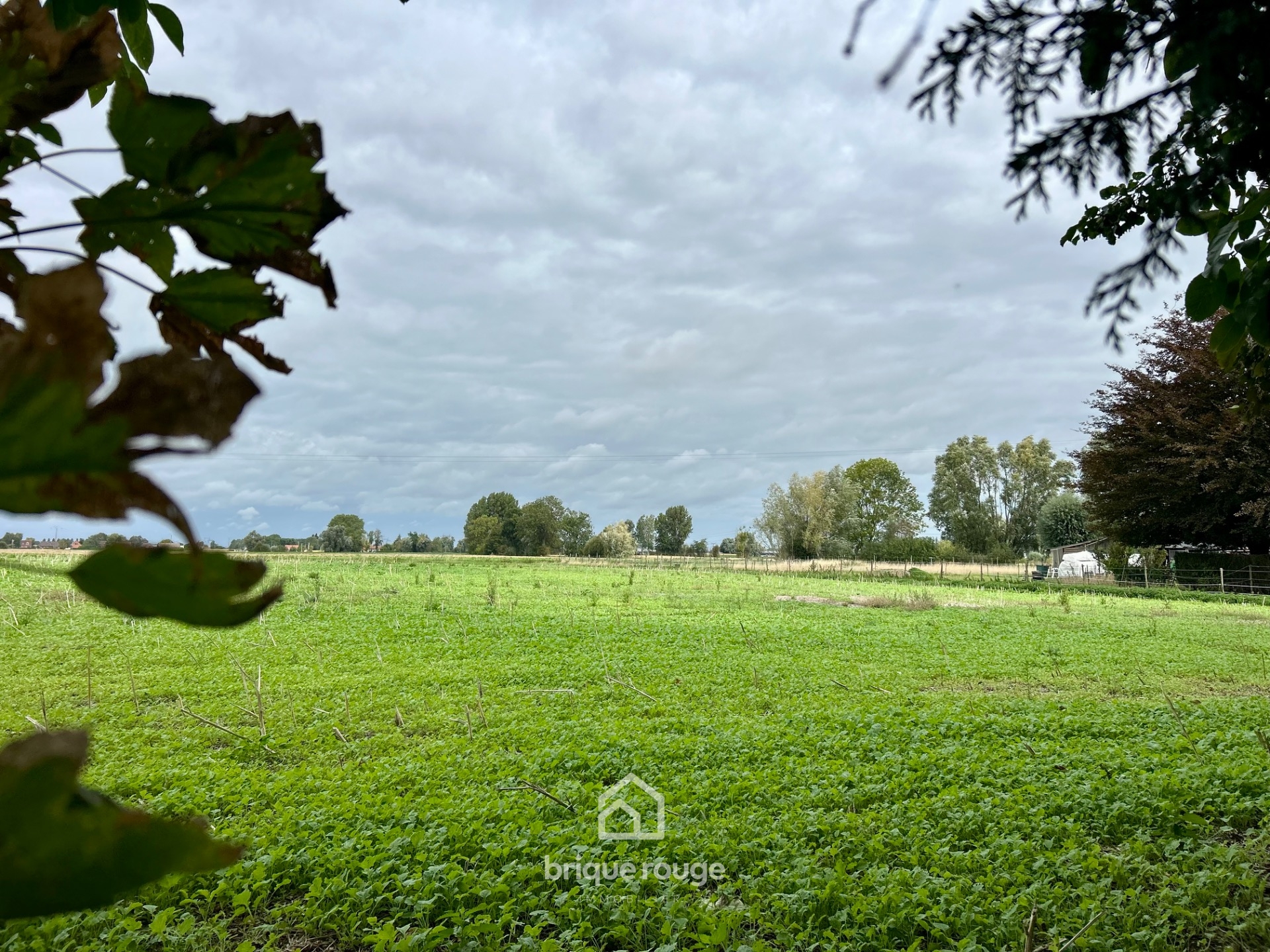 Maison individuelle secteur prise Photo 10 - Brique Rouge Immobilier
