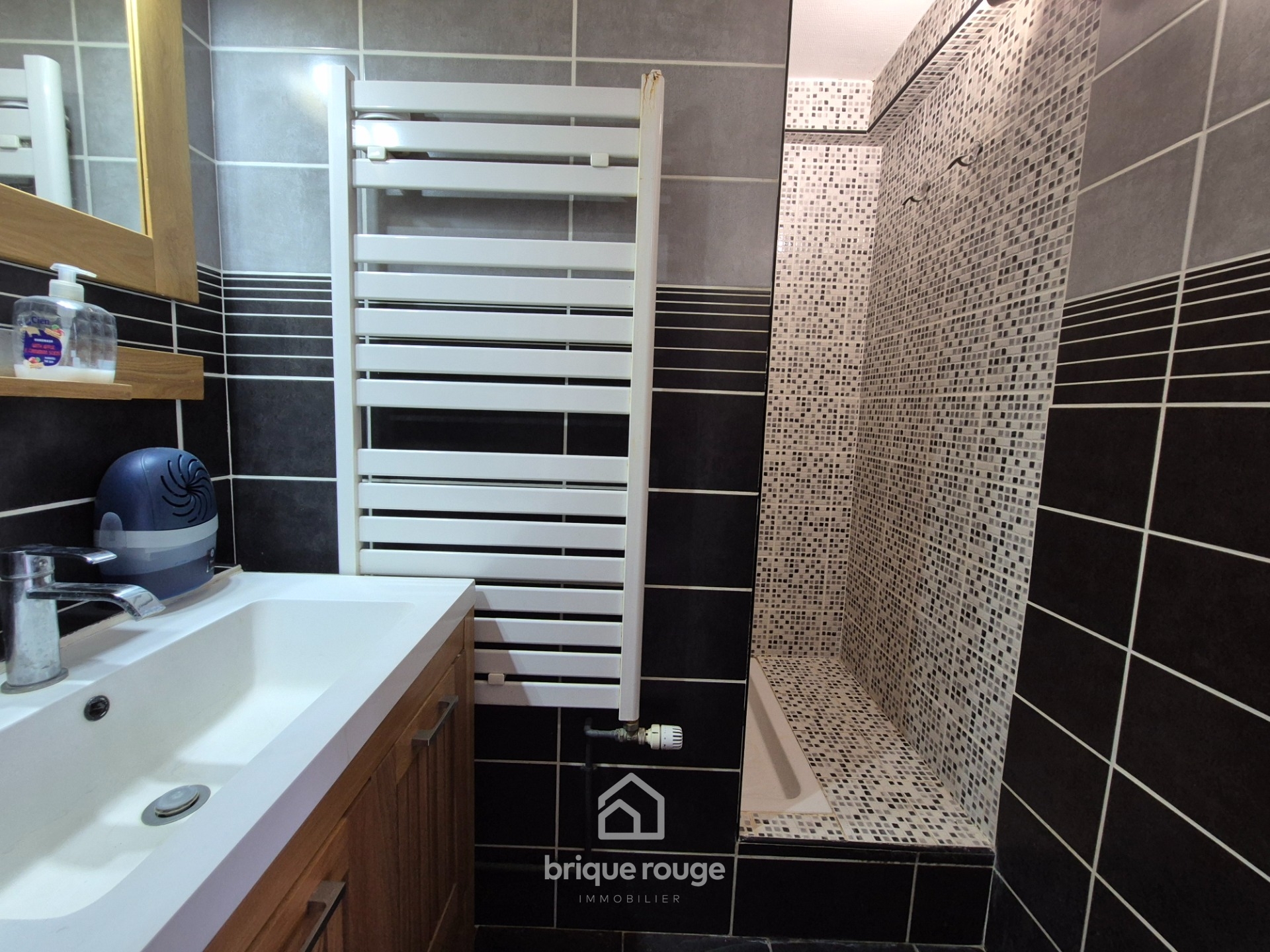 T2 de 50 m2 parking Photo 3 - Brique Rouge Immobilier T2 de 50 m2 parking Photo 3 - Brique Rouge Immobilier