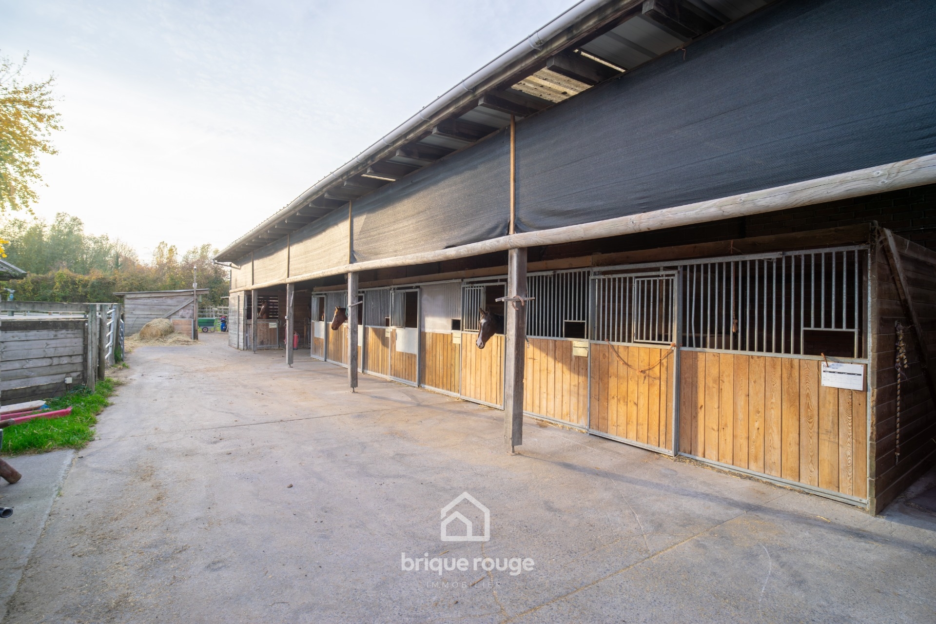 Maison style loft et propriete equestre sur 1 3 ha Photo 9 - Brique Rouge Immobilier