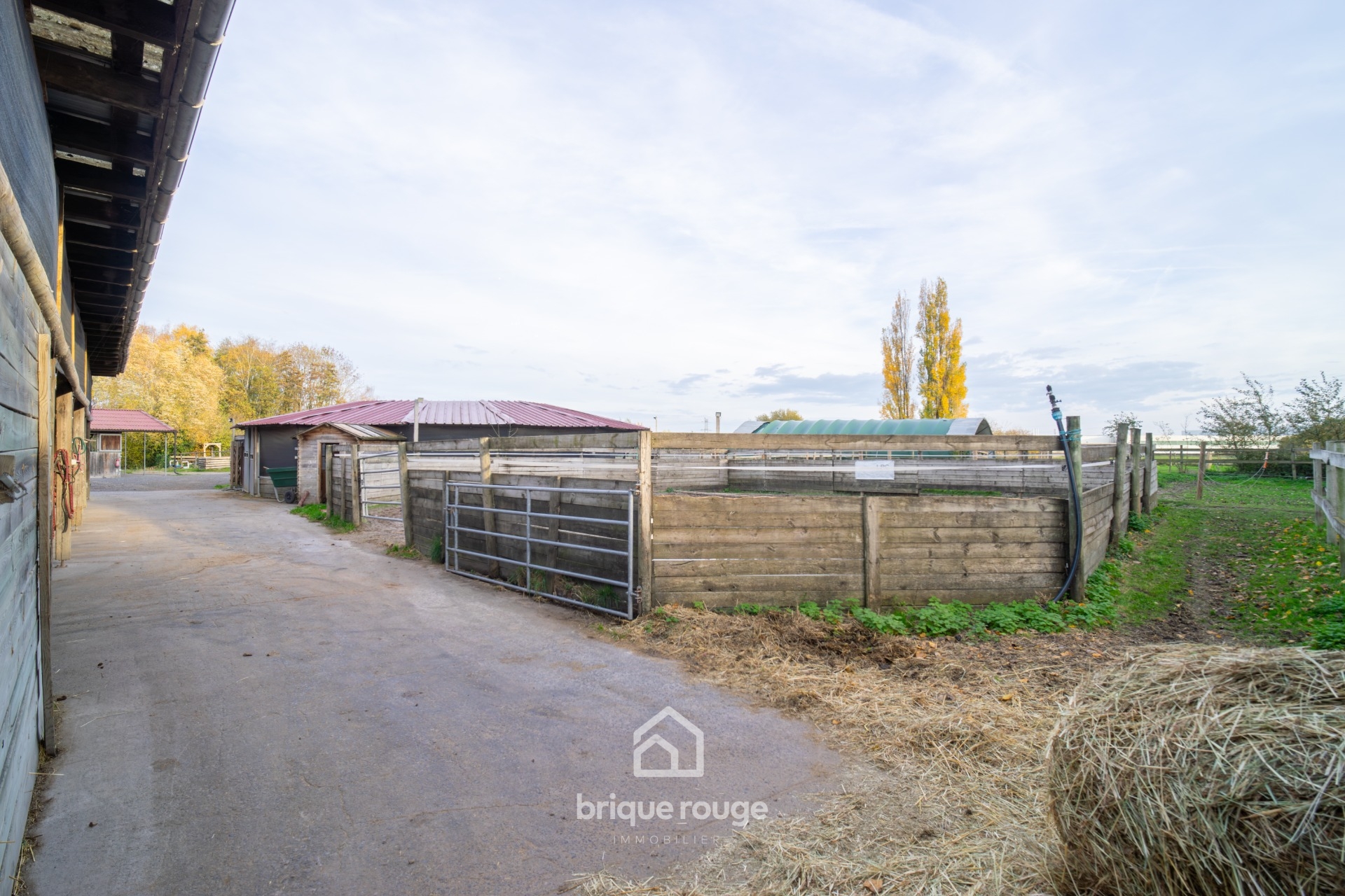 Maison style loft et propriete equestre sur 1 3 ha Photo 12 - Brique Rouge Immobilier