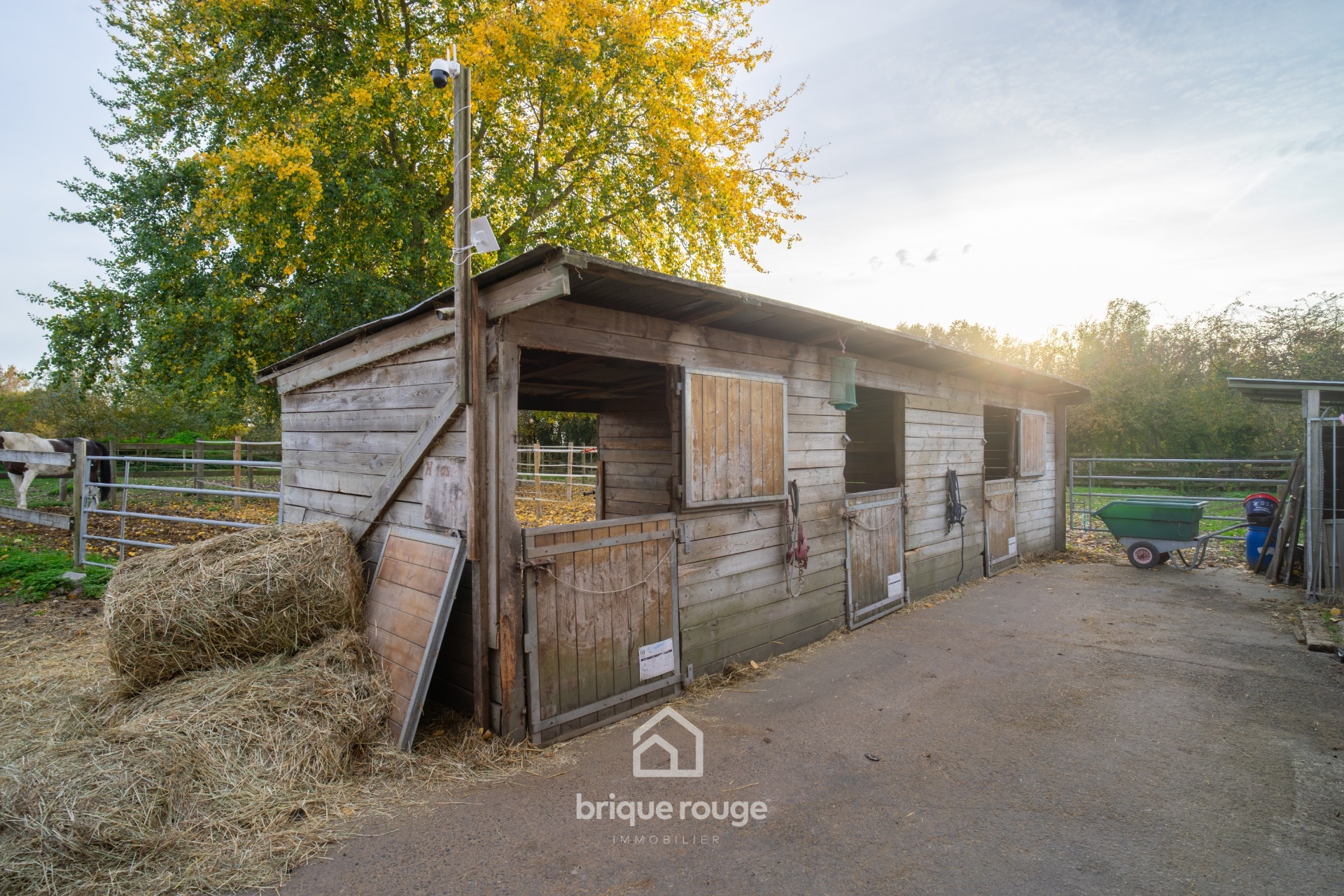Maison style loft et propriete equestre sur 1 3 ha Photo 14 - Brique Rouge Immobilier