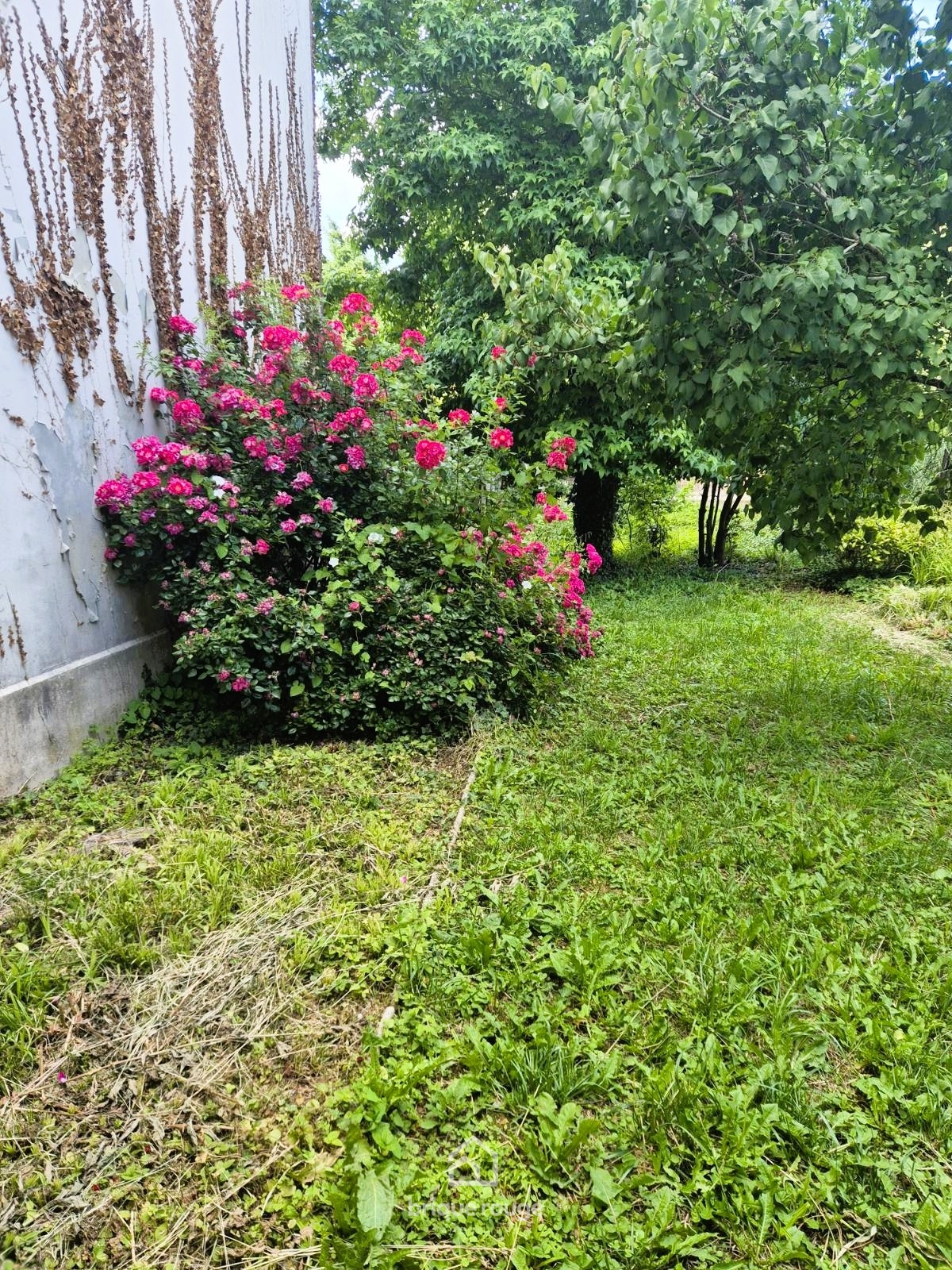 Bethune  jardin public maison familiale tout confort Photo 10 - Brique Rouge Immobilier