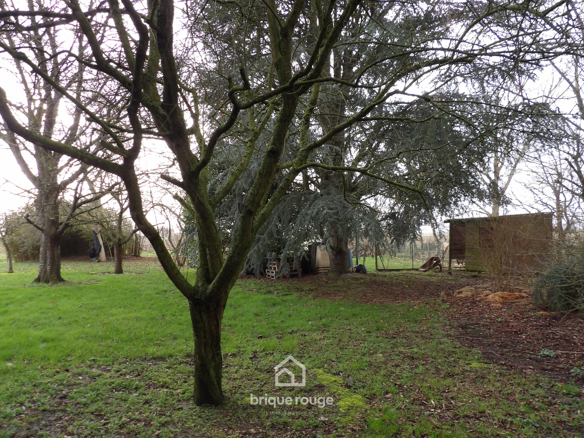 En exclusivite plain pied individuel Photo 4 - Brique Rouge Immobilier En exclusivite plain pied individuel Photo 4 - Brique Rouge Immobilier