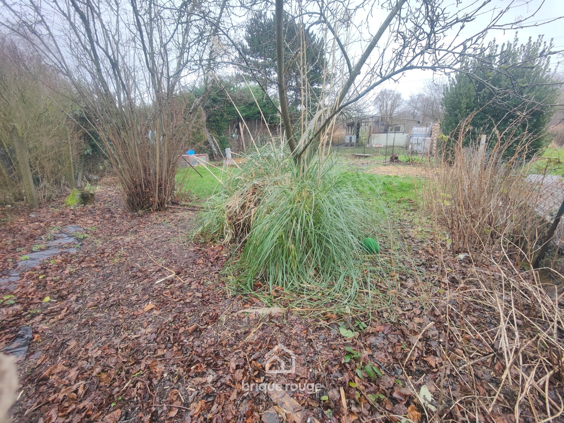 Sequedin belle maison t4   grand sous sol amenage sur 600m Photo 15 - Brique Rouge Immobilier