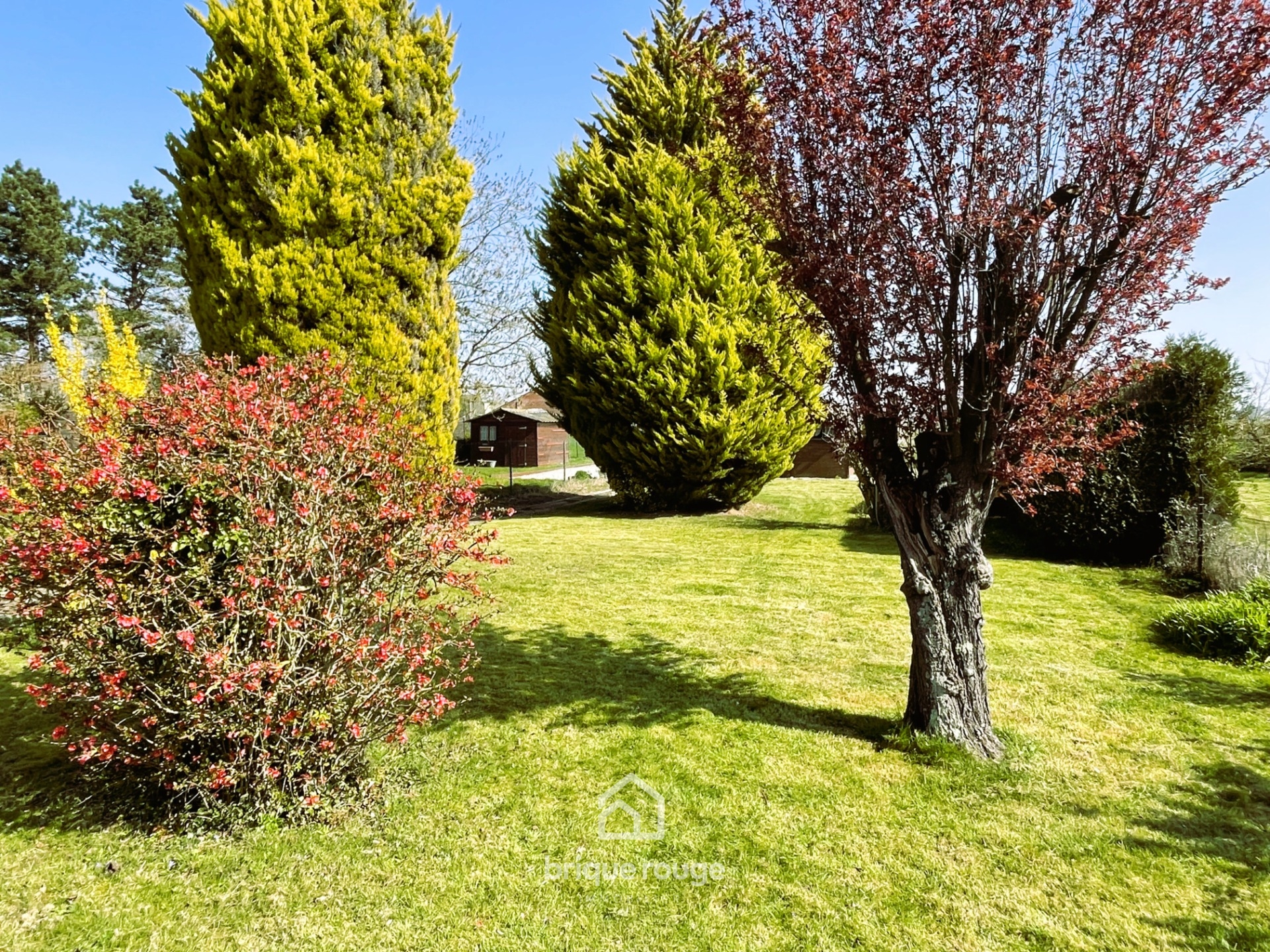 Maison individuelle sur 854m merville secteur recherche Photo 2 - Brique Rouge Immobilier Maison individuelle sur 854m merville secteur recherche Photo 2 - Brique Rouge Immobilier