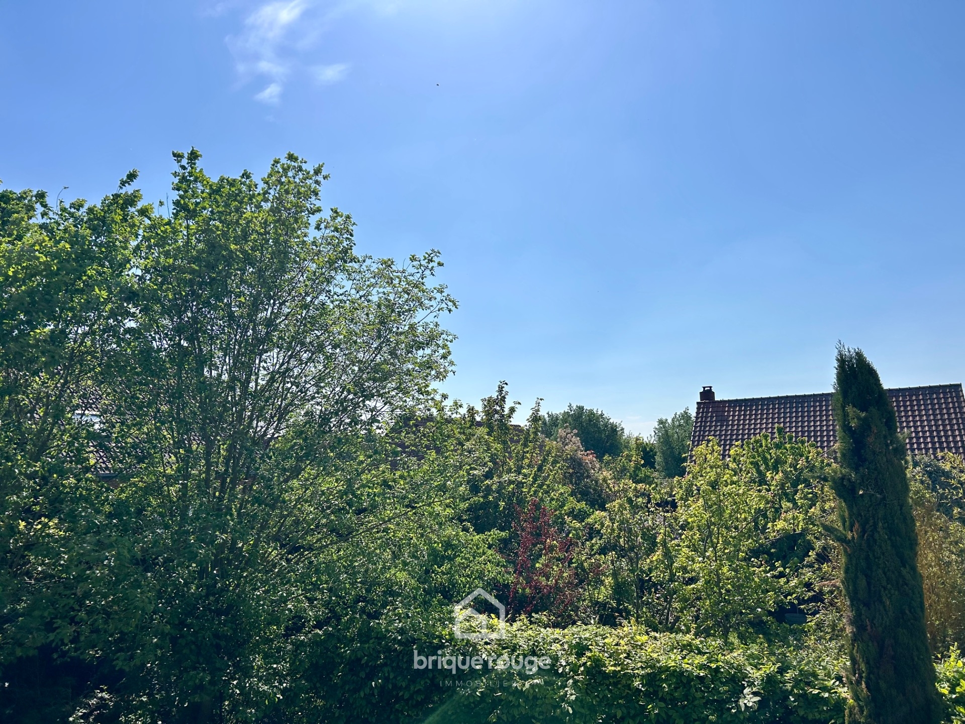 Appartement t2 secteur privilegie Photo 5 - Brique Rouge Immobilier