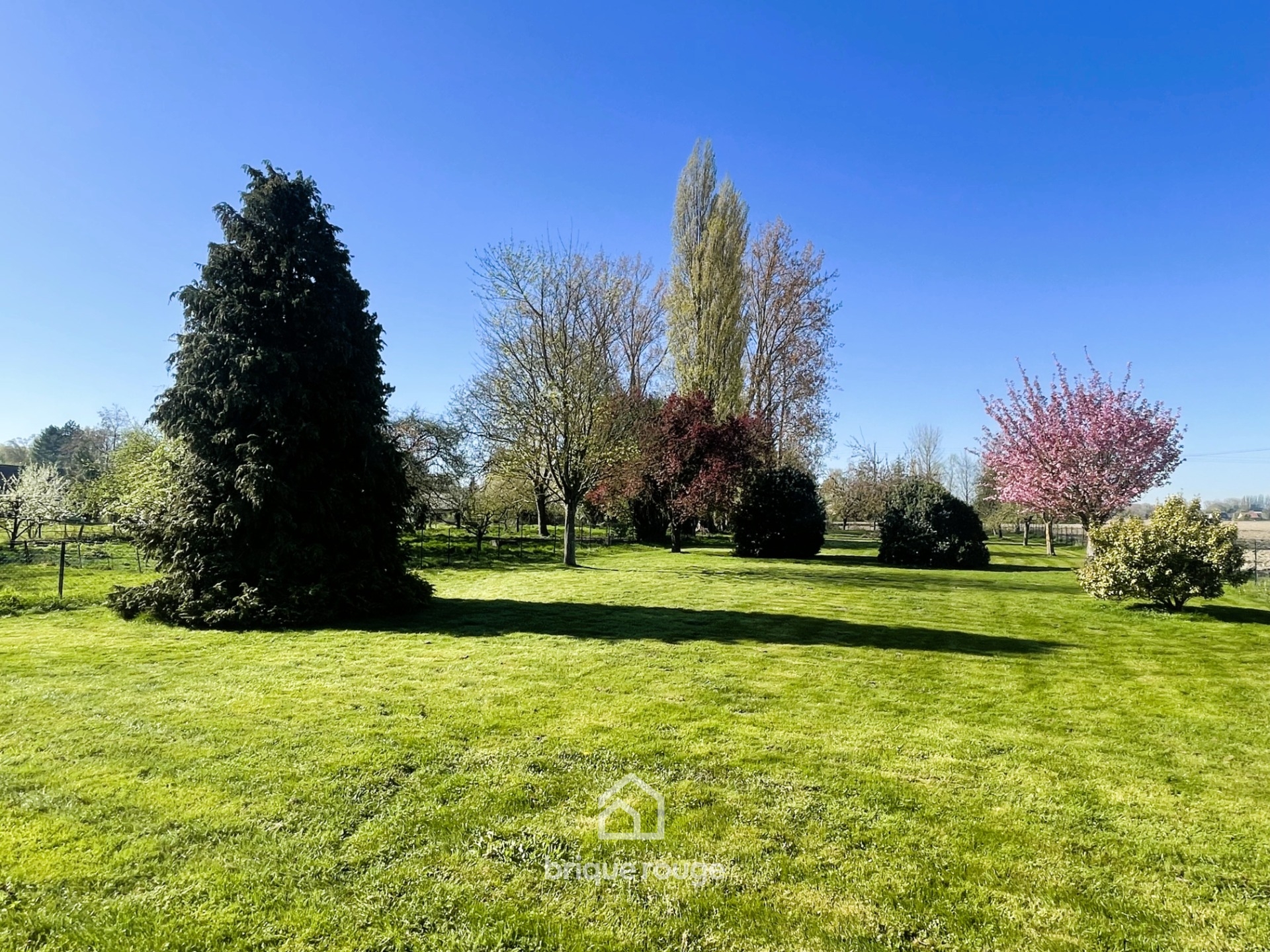 Plain pied individuel en campagne bethunoise hinges Photo 2 - Brique Rouge Immobilier Plain pied individuel en campagne bethunoise hinges Photo 2 - Brique Rouge Immobilier