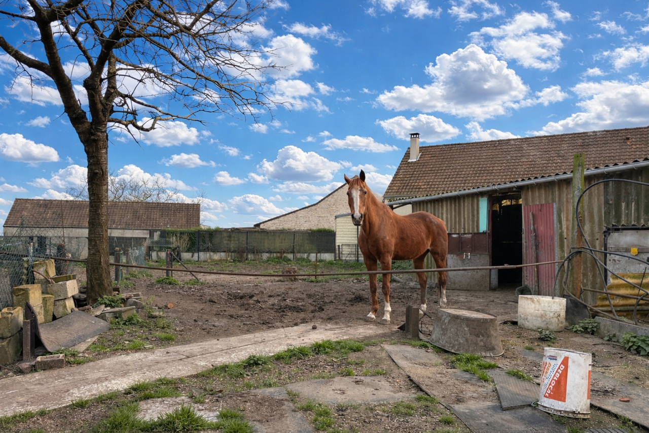 Maison de village 160m 4 chambres Photo 1 - Brique Rouge Immobilier
