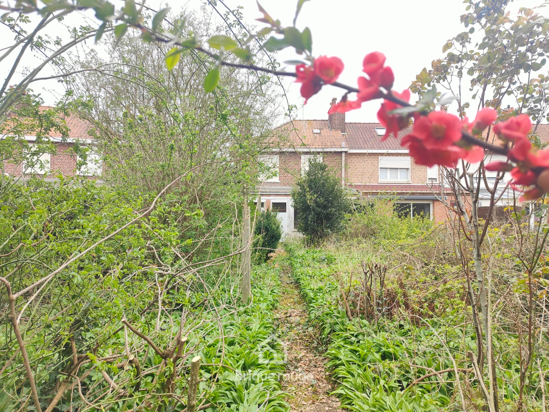 Hallennes semi individuelle 4 chambres jardin garage double Photo 2 - Brique Rouge Immobilier