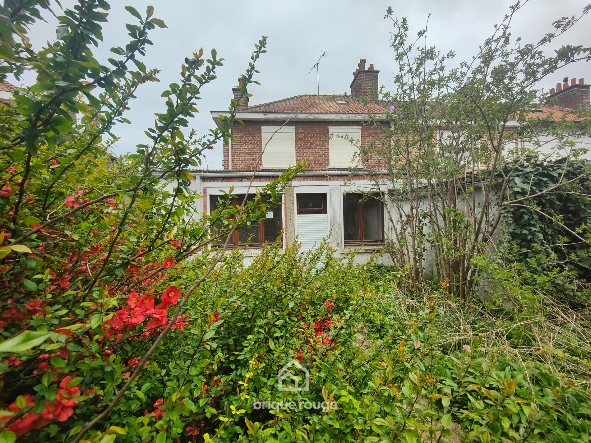 Hallennes semi individuelle 4 chambres jardin garage double Photo 11 - Brique Rouge Immobilier