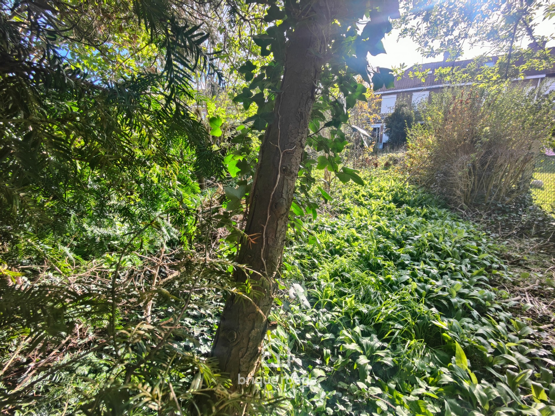 Hallennes semi individuelle 4 chambres jardin garage double Photo 12 - Brique Rouge Immobilier