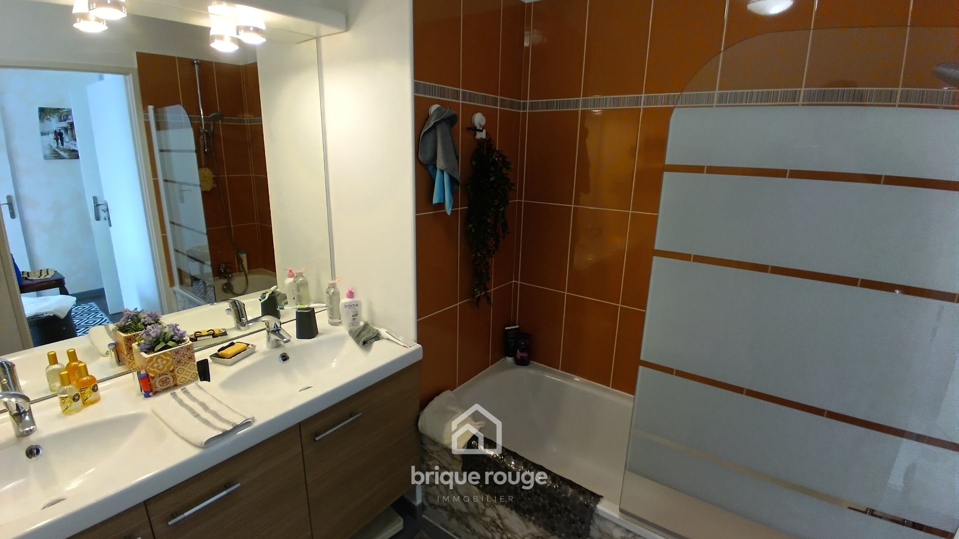 Magnifique t3 dans un ecrin vert sur phalempin Photo 4 - Brique Rouge Immobilier Magnifique t3 dans un ecrin vert sur phalempin Photo 4 - Brique Rouge Immobilier