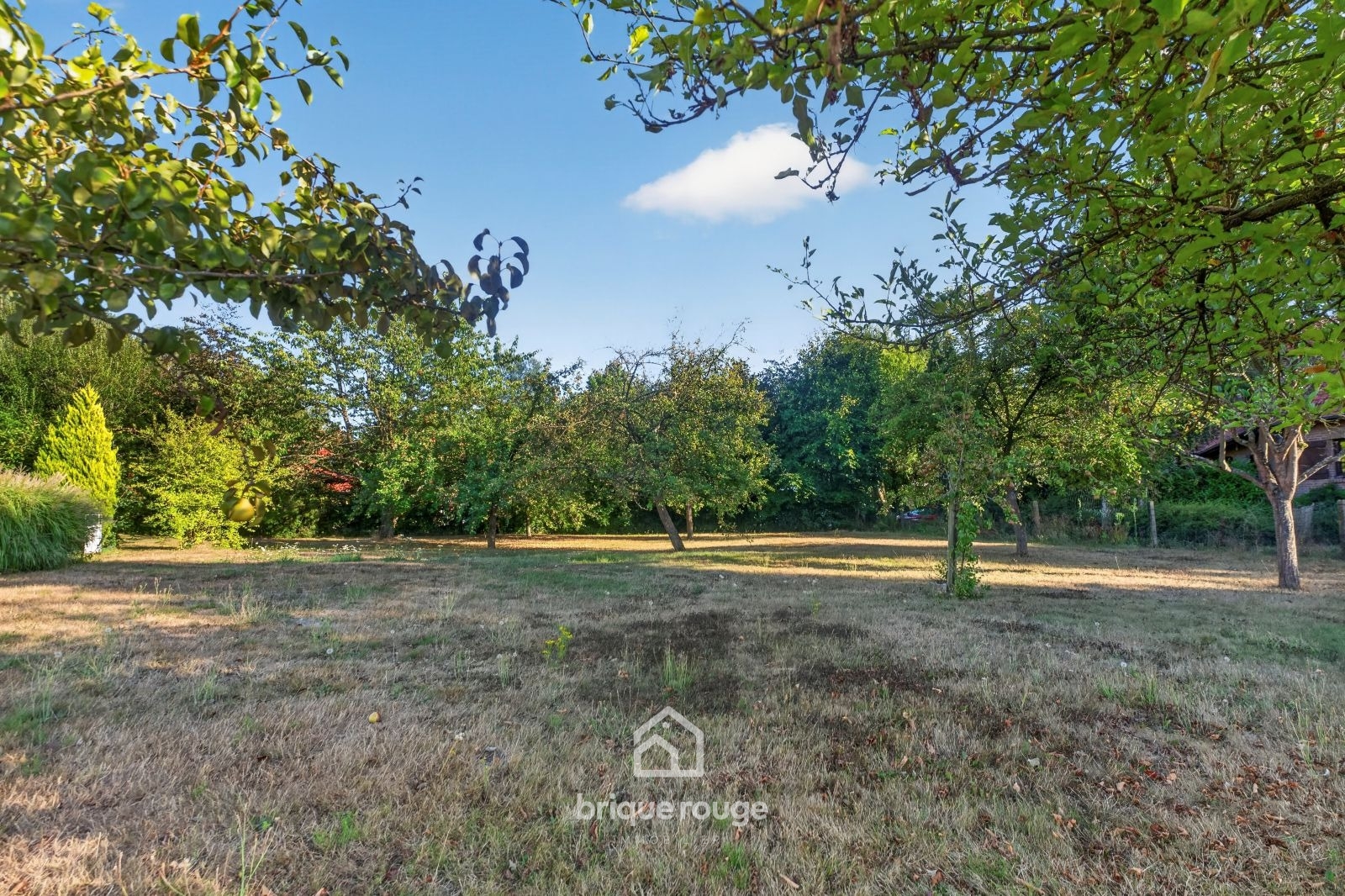 Superbe propriete de semi plain pied sur parc de 2000m Photo 18 - Brique Rouge Immobilier Superbe propriete de semi plain pied sur parc de 2000m Photo 18 - Brique Rouge Immobilier