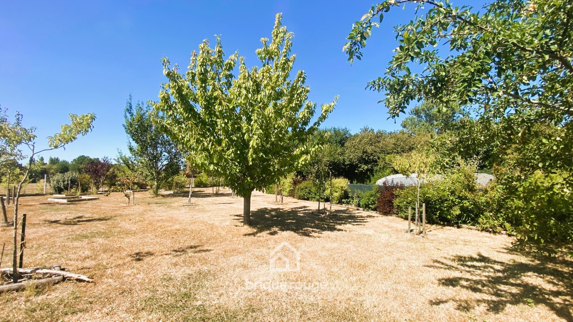 En exclusivite magnifique propriete batie sur 2800m Photo 11 - Brique Rouge Immobilier En exclusivite magnifique propriete batie sur 2800m Photo 11 - Brique Rouge Immobilier
