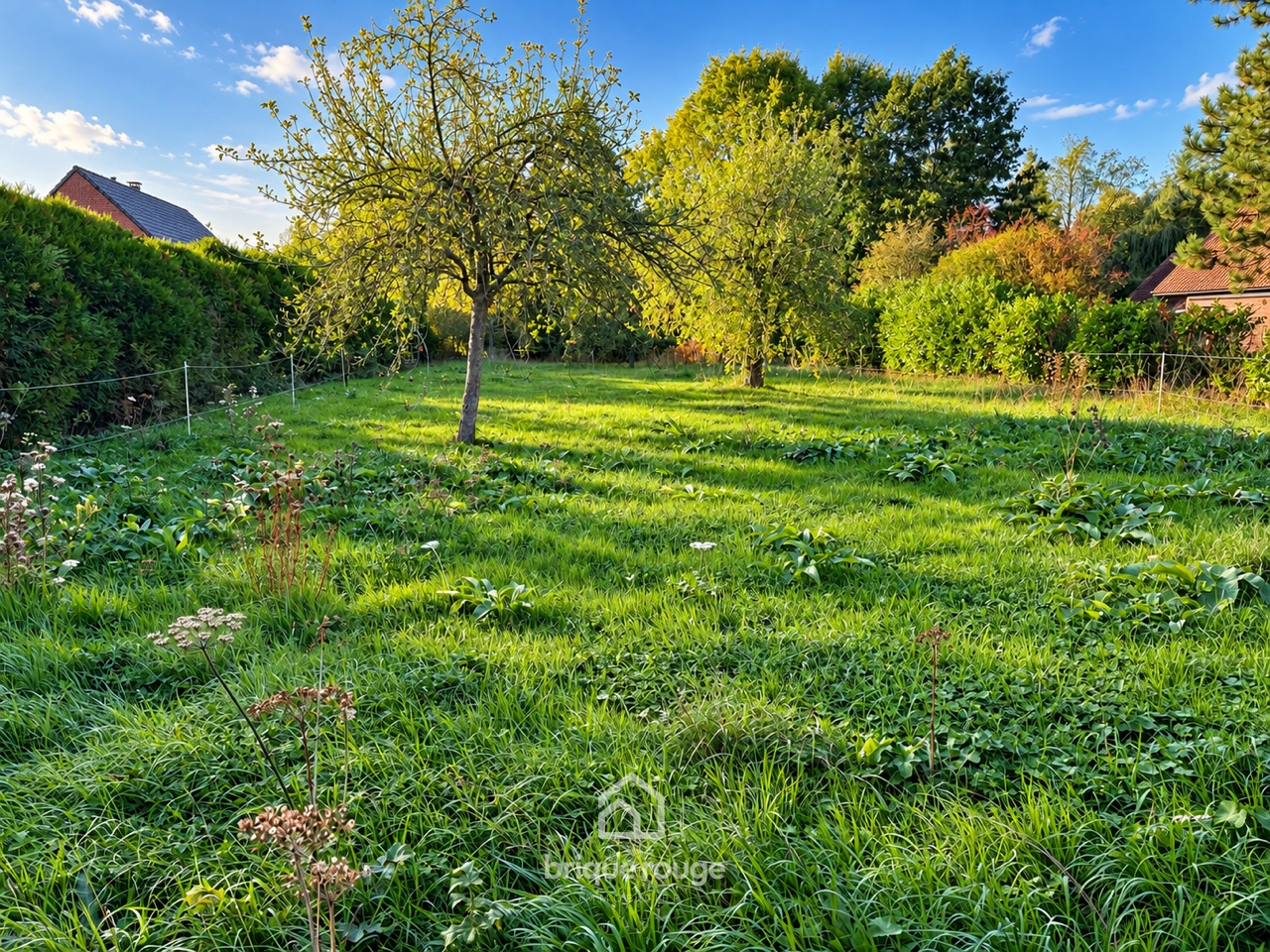 Terrain de 883m faumont Photo 1 - Brique Rouge Immobilier Terrain de 883m faumont Photo 1 - Brique Rouge Immobilier