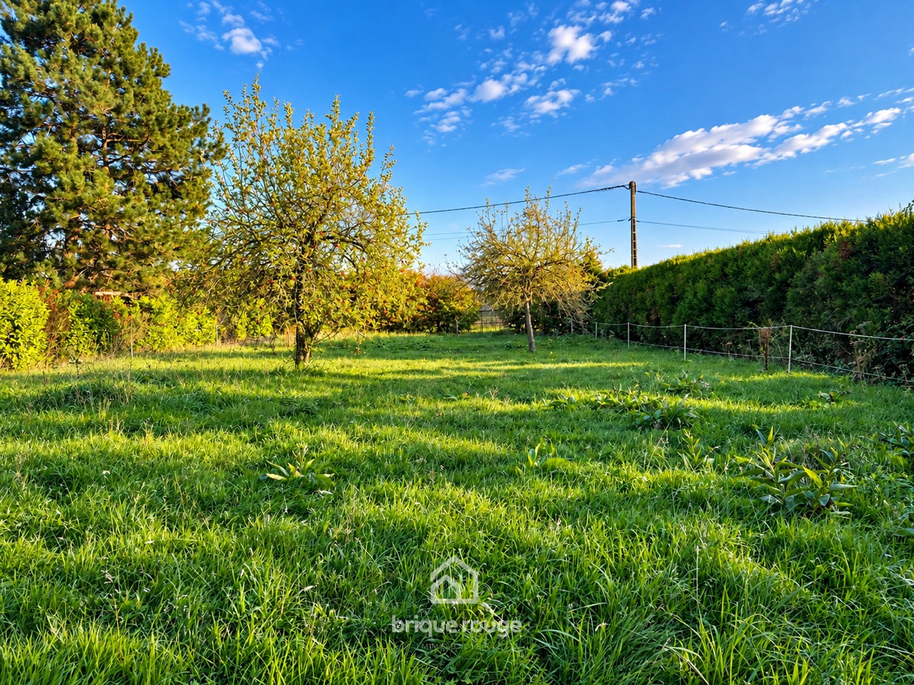 Terrain faumont de 1490m Photo 3 - Brique Rouge Immobilier Terrain faumont de 1490m Photo 3 - Brique Rouge Immobilier